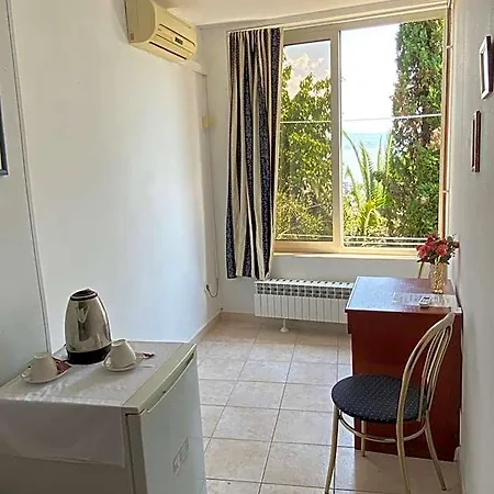 Salyna 3*